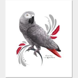 African Grey Posters and Art